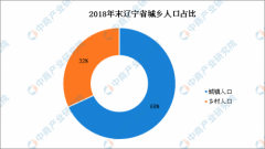 辽宁省总人口数_数据显示：今年沈阳老龄人口将占总人